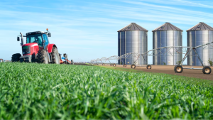 Agro mira bilhões com créditos de carbono