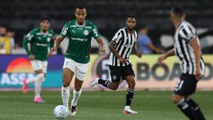 Palmeiras empata com Botafogo e perde a liderança do Brasileirão para o Flamengo