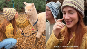Após mini-cabra, Bruno Gagliasso surpreende Giovanna Ewbank com novo presente inusitado: uma alpaca