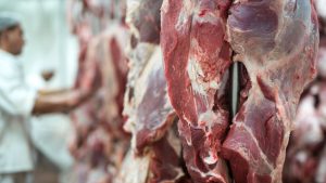 Entenda se o recente veto da União Europeia pode deixar a carne mais barata para o consumidor brasileiro