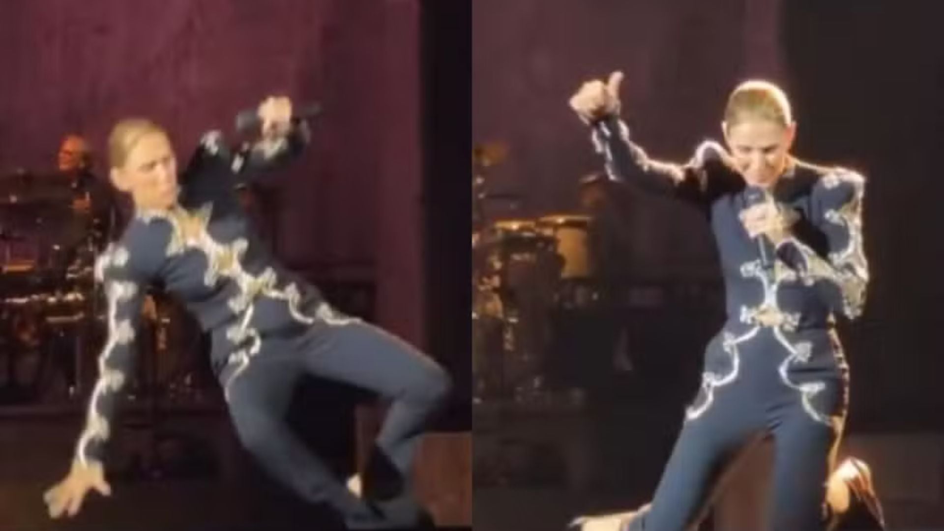 Céline Dion sofre queda durante show em Paris; veja