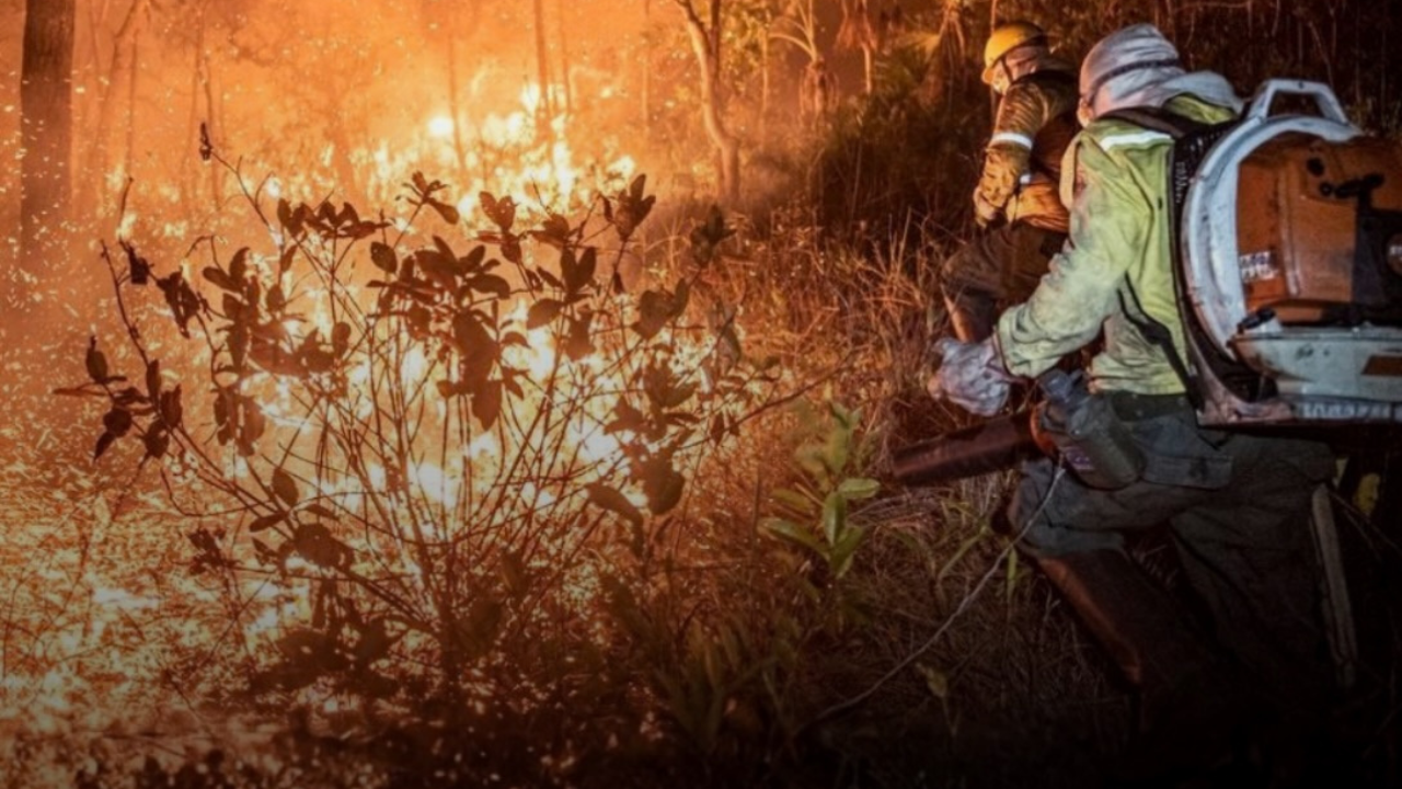 Incêndios devastadores colocam Amazonas sob alerta crítico e emergência